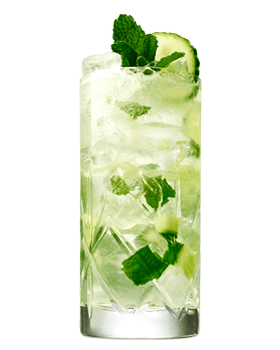 hendrick-tonic-mint